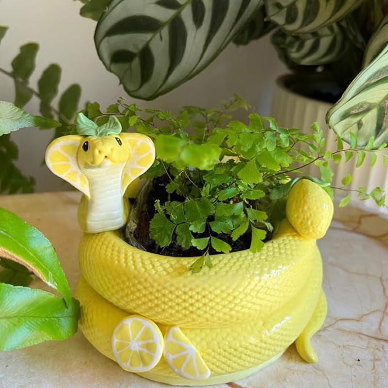 Creative snake-shaped flower pot