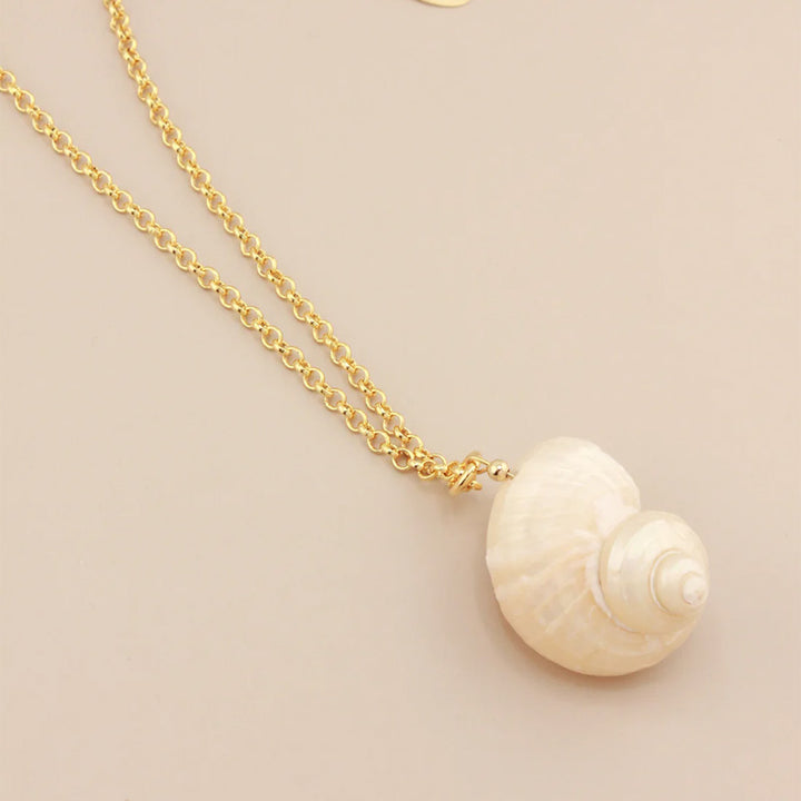 Natural seashell necklace