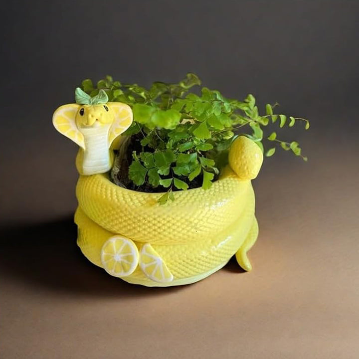 Creative snake-shaped flower pot