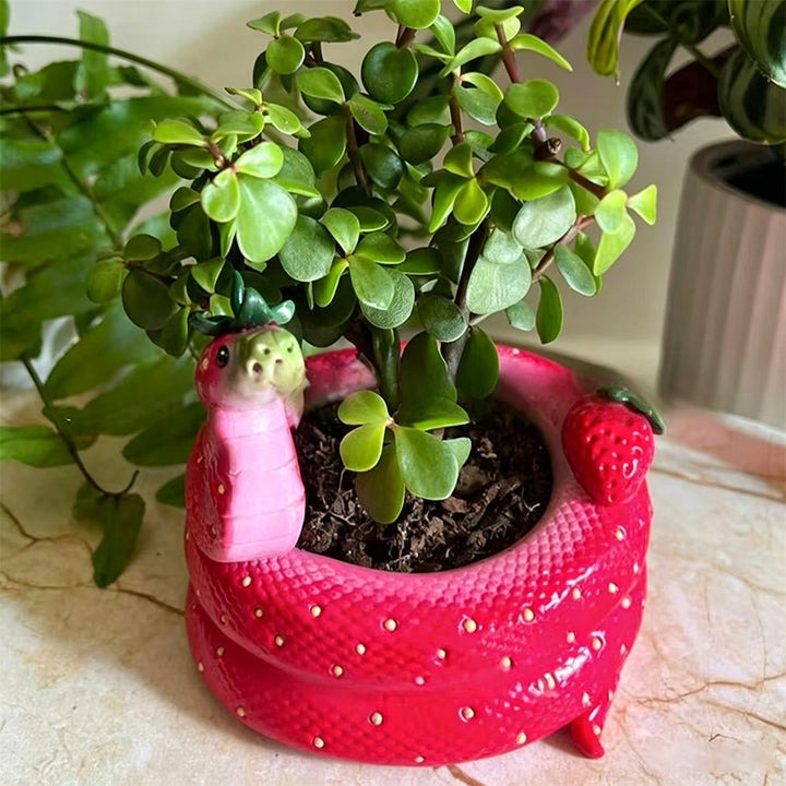 Creative snake-shaped flower pot