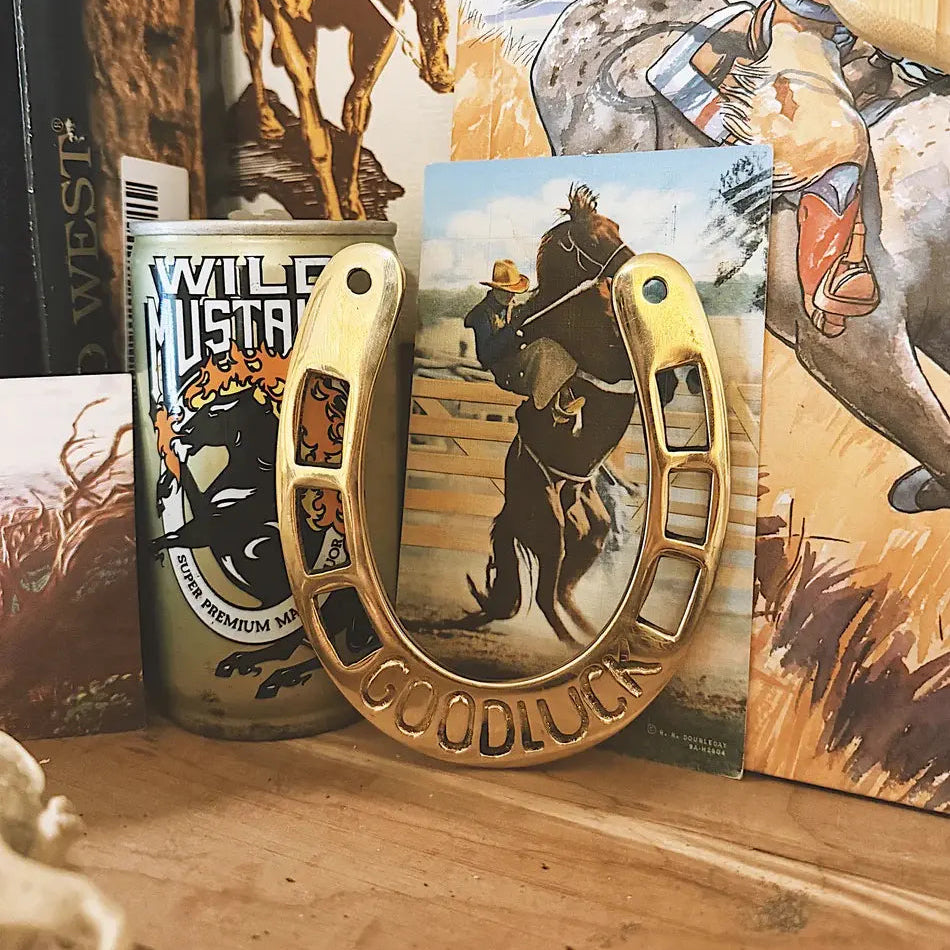 Good Luck Horseshoe Wall Decor