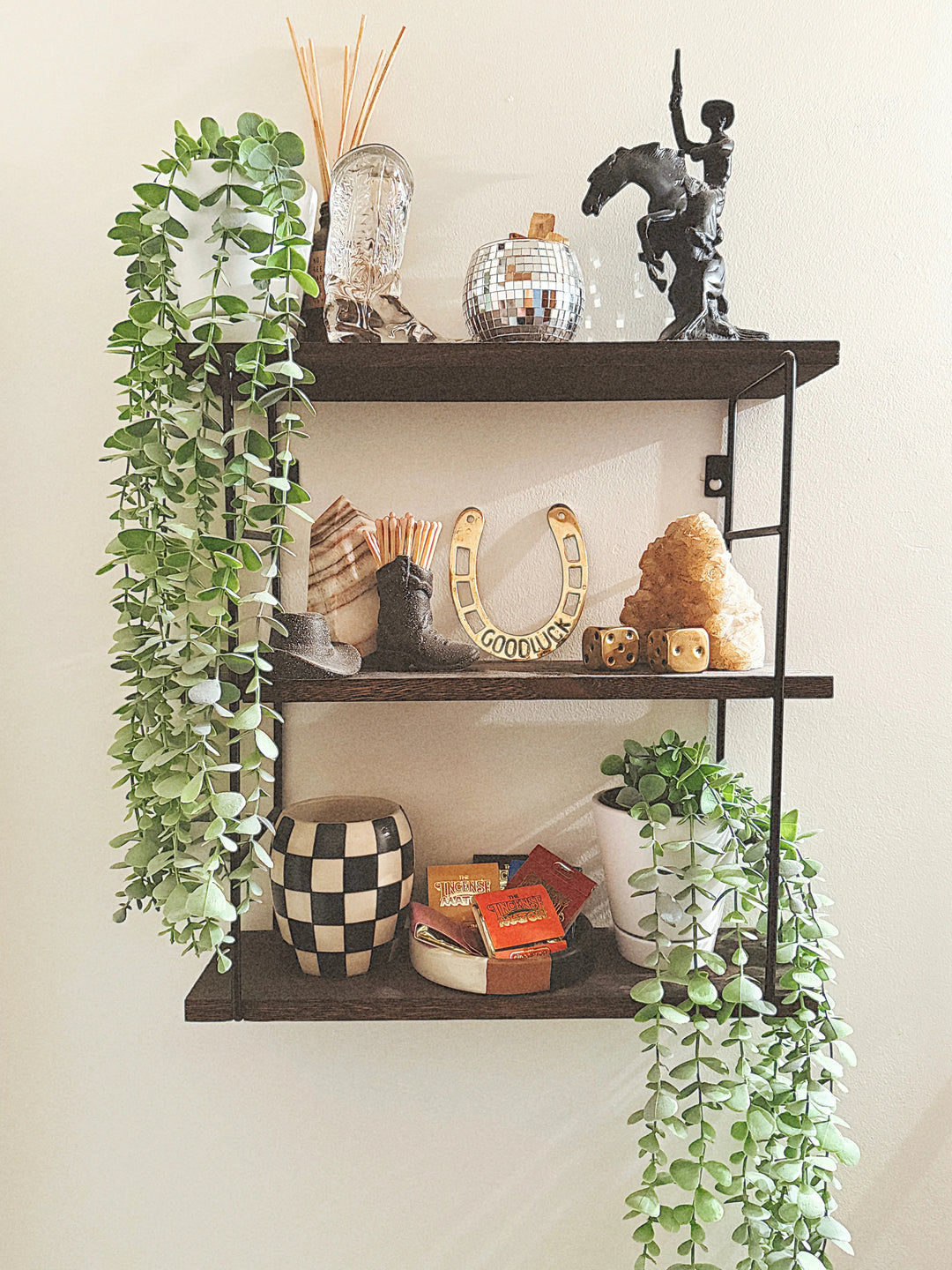 Good Luck Horseshoe Wall Decor