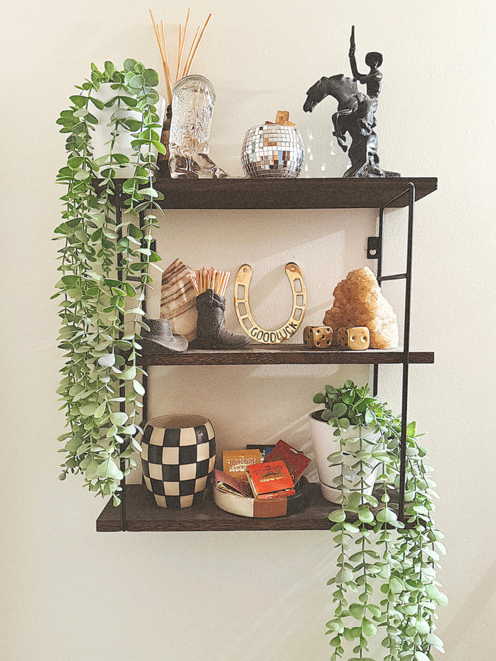 Good Luck Horseshoe Wall Decor