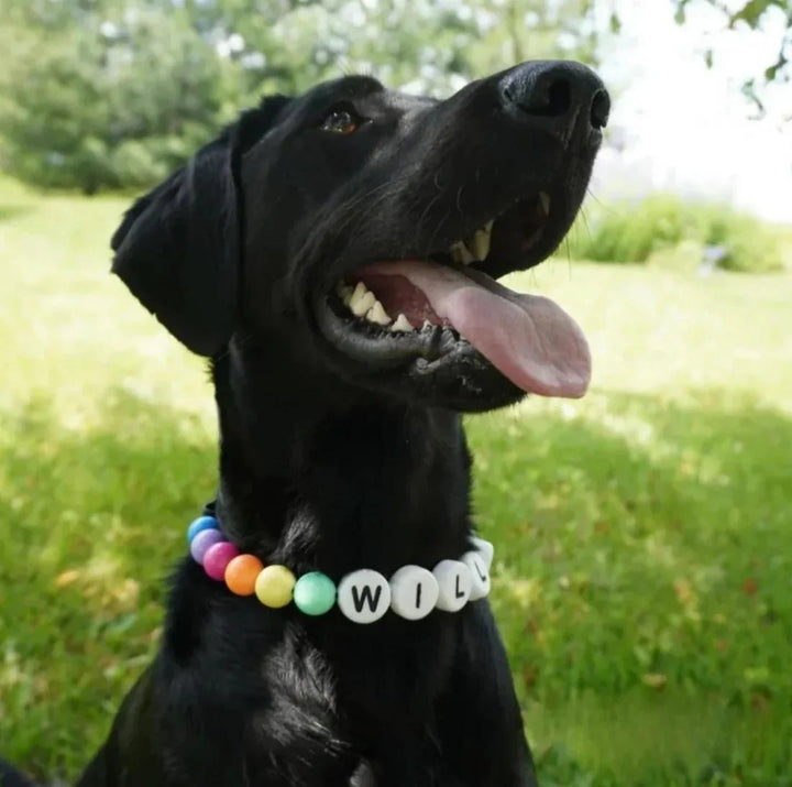 Customizable Friendship Bracelets